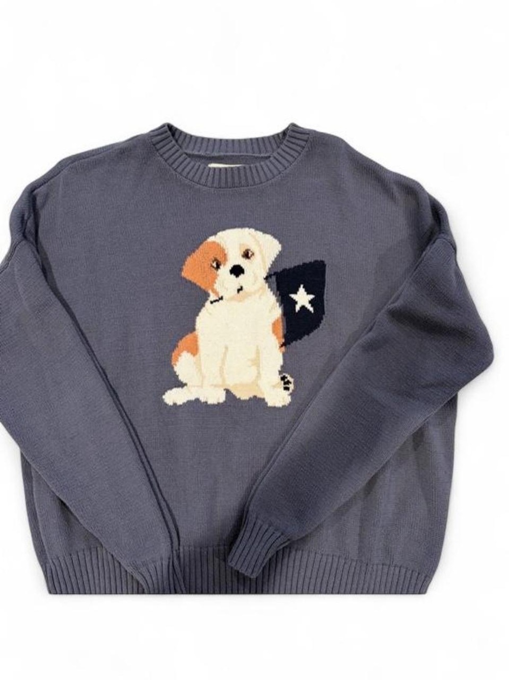 Hollister Co. navy blue dog sweater